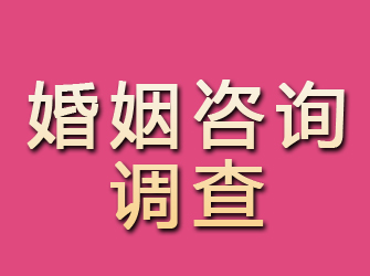 新建婚姻咨询调查